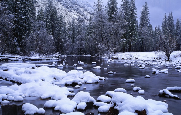 Wallpaper Snow Stream Forest Landscapes