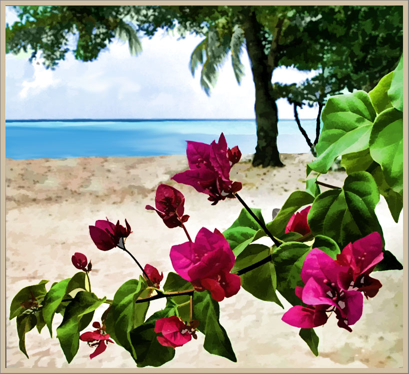 Beach And Island Wallpaper Myrtle Jamaica