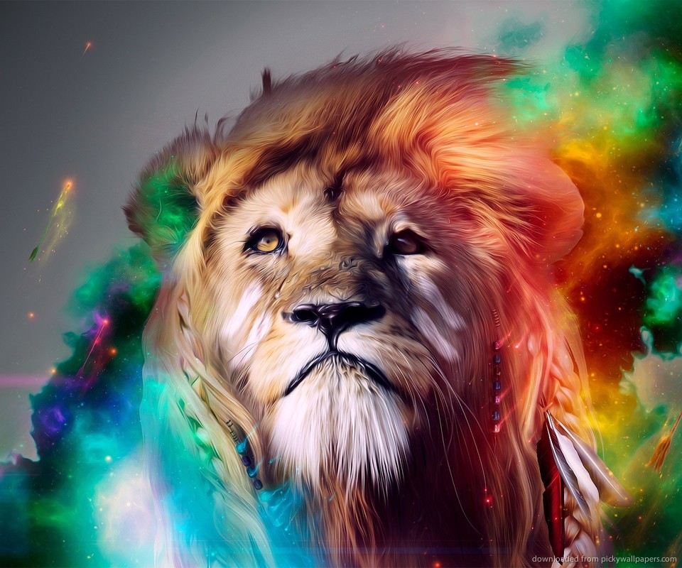 Lion Galaxy Wallpapers on WallpaperDog