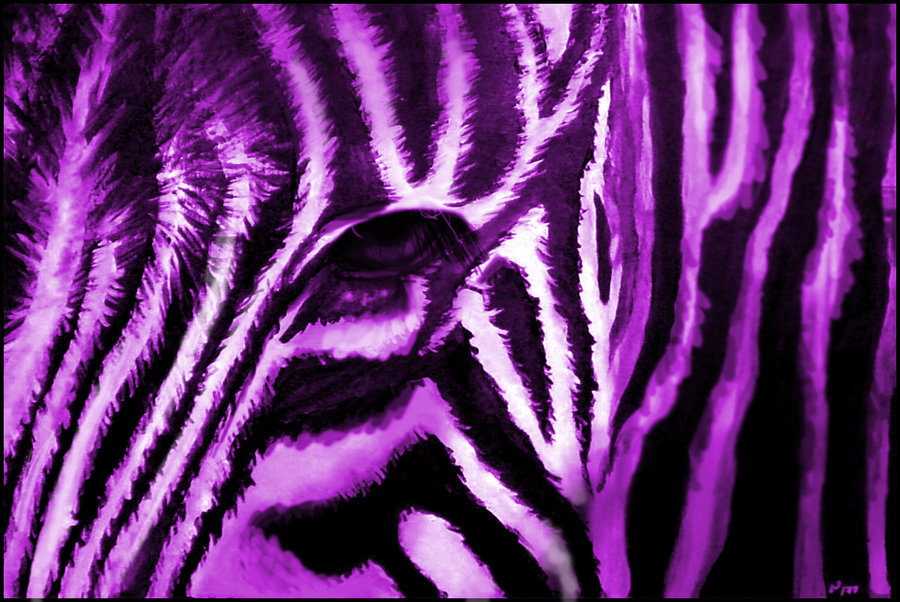 Fuzzy Purple Zebra By Nukedperogy