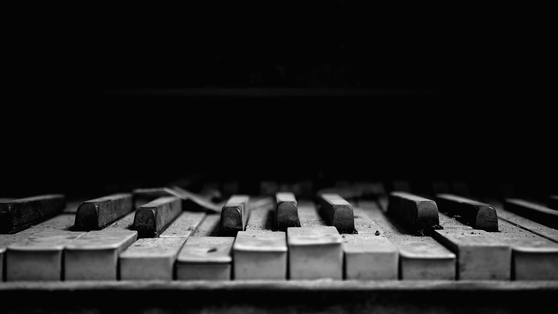 Music Dust Monochrome Piano Dark Macro Musical Instrument