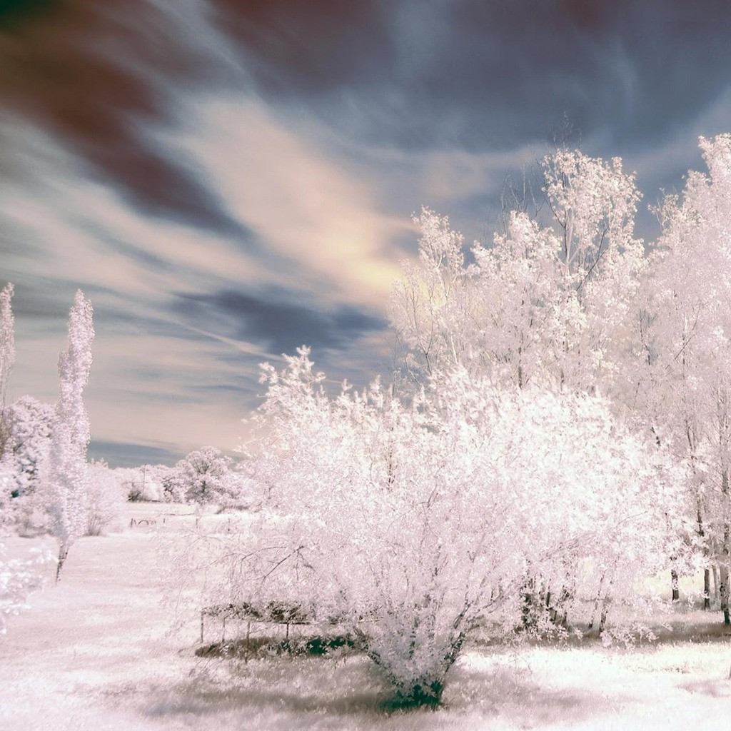Beautiful landscape of winter wonderland for you Ipad