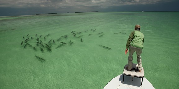 Fly Fishing For Tarpon In Key West And Florida Keys World Angling