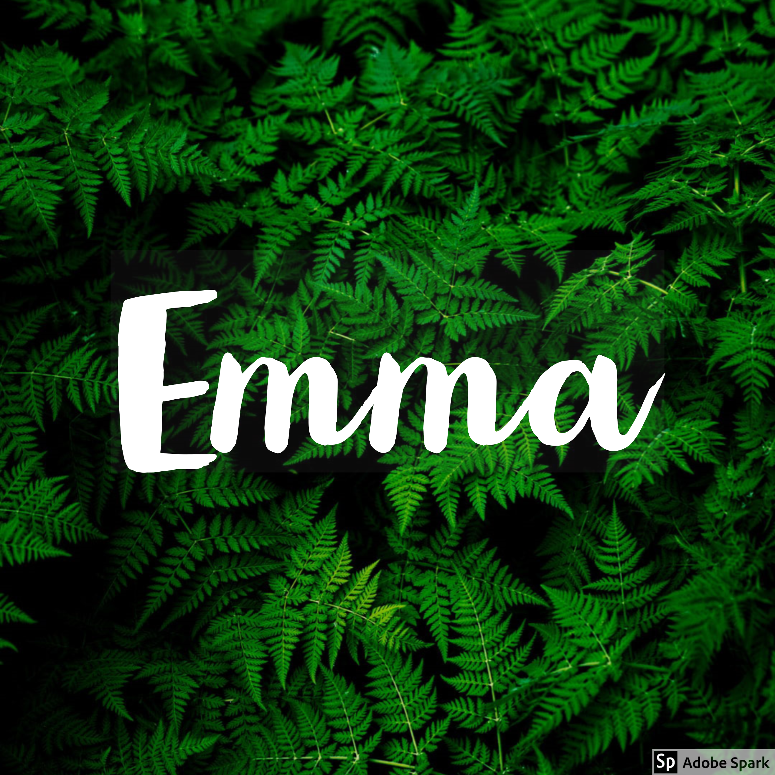 Emma Wallpaper Name