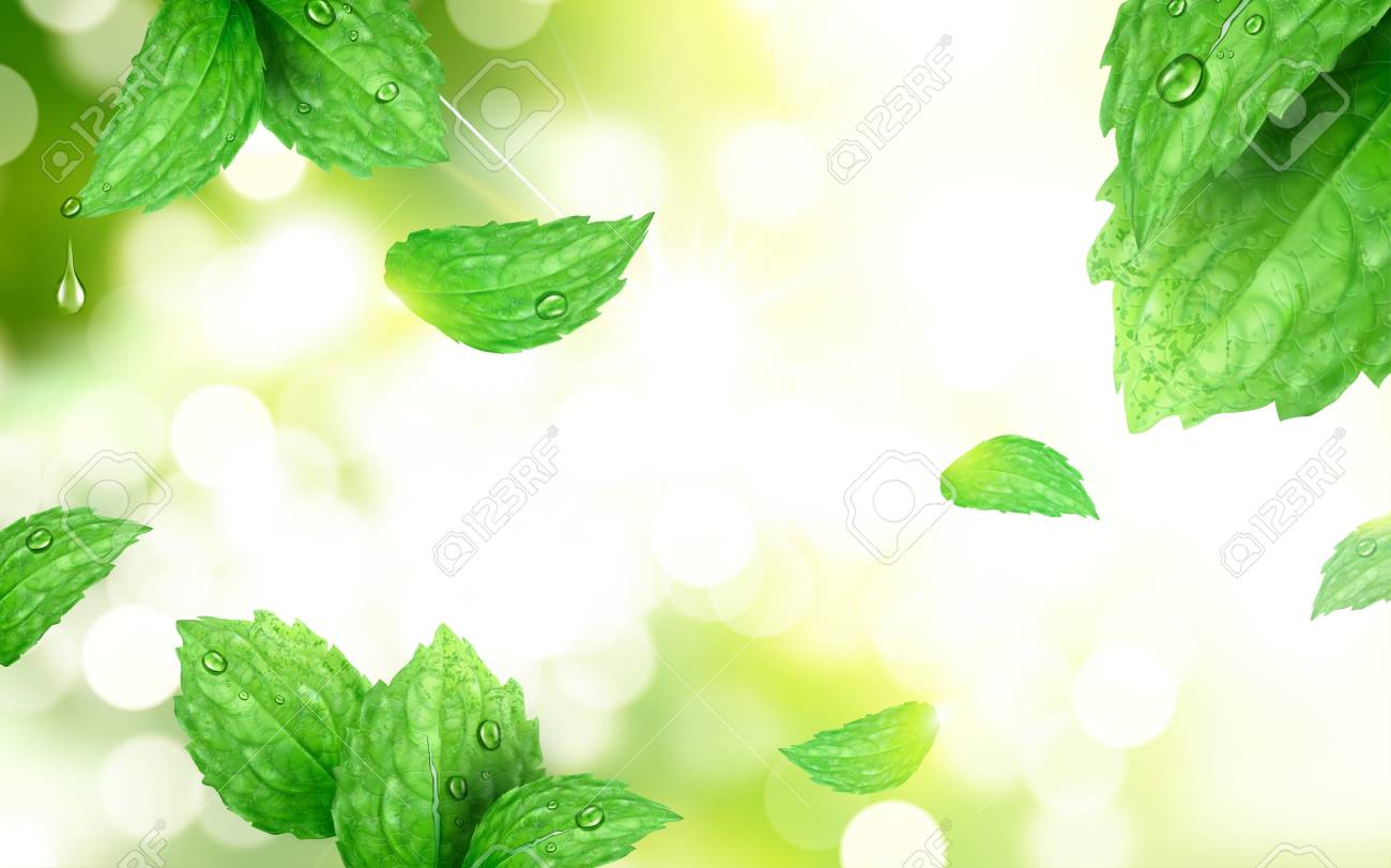 Peppermint Bokeh Background Refreshing Leaves Isolated On Morning