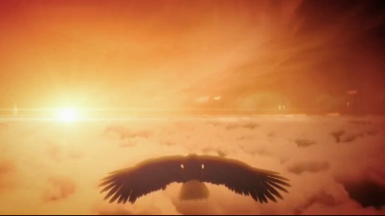 Eagle Soaring High In Clouds Background Motion Video Loops HD