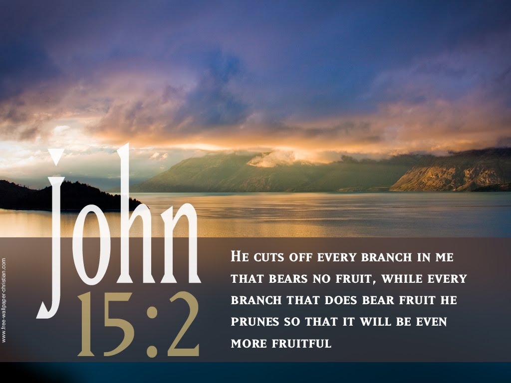 John 152   Fruitful Wallpaper   Christian Wallpapers and Backgrounds