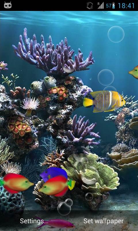 Fish Aquarium Live Wallpaper Now Watch Fishes Moving In As