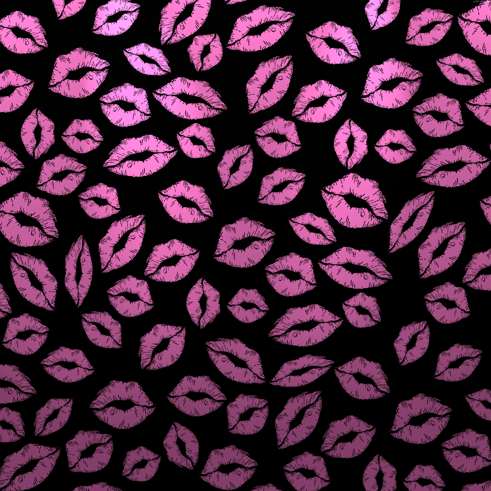 Pink And Black Zebra Print Wallpaper Hd