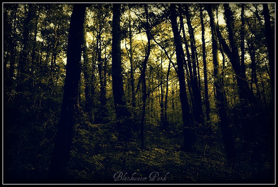 Opeth Blackwater Park Wallpaper By