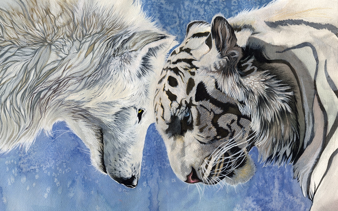 3d White Wolf Papier Peint Avec Un Tigre Blanc Wallpaper Fond