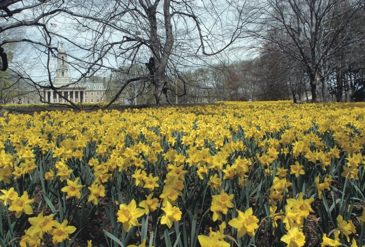 Spring Penn State University
