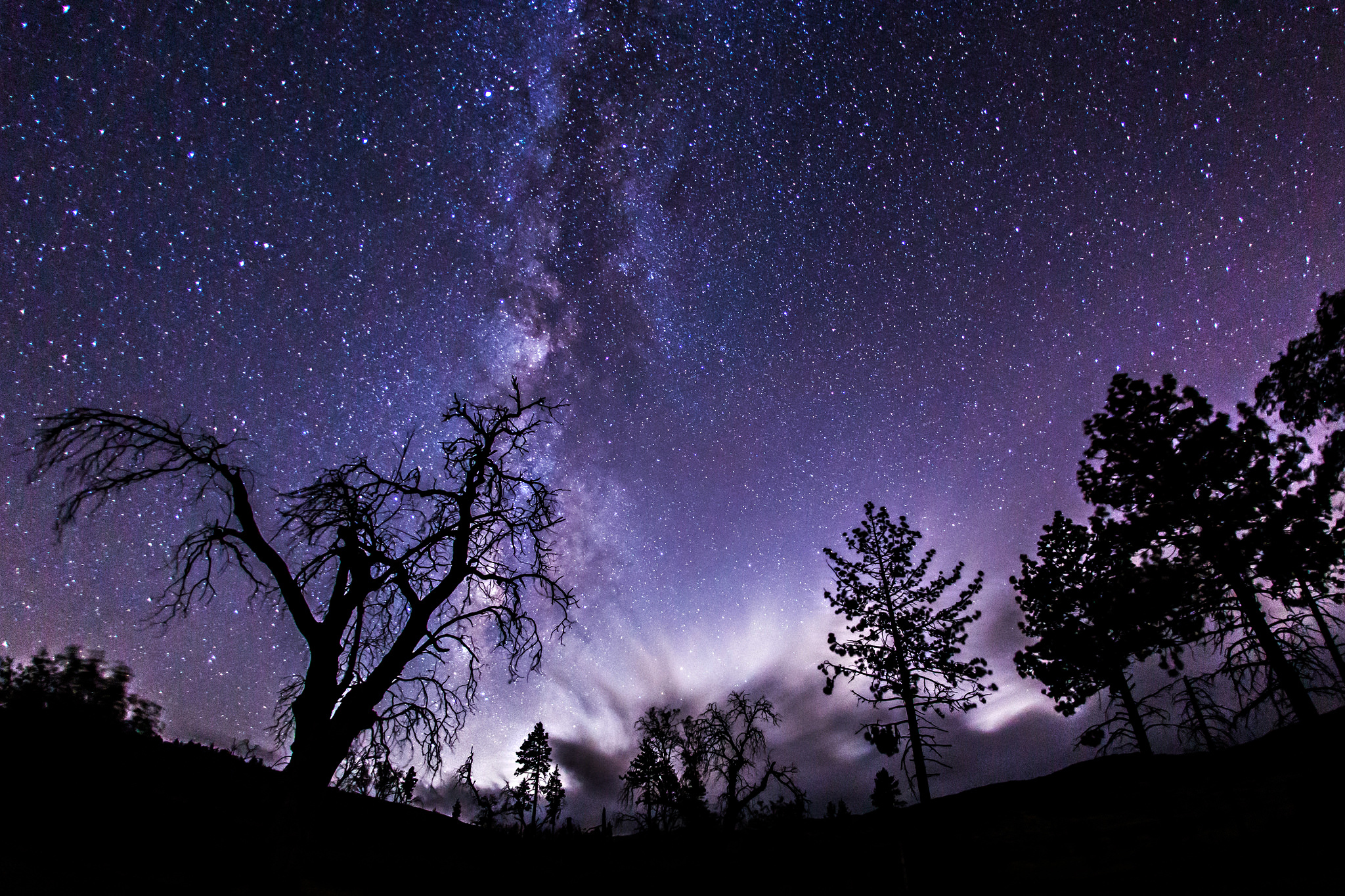 Wallpaper Space Stars Night Milky Way Trees Shadows