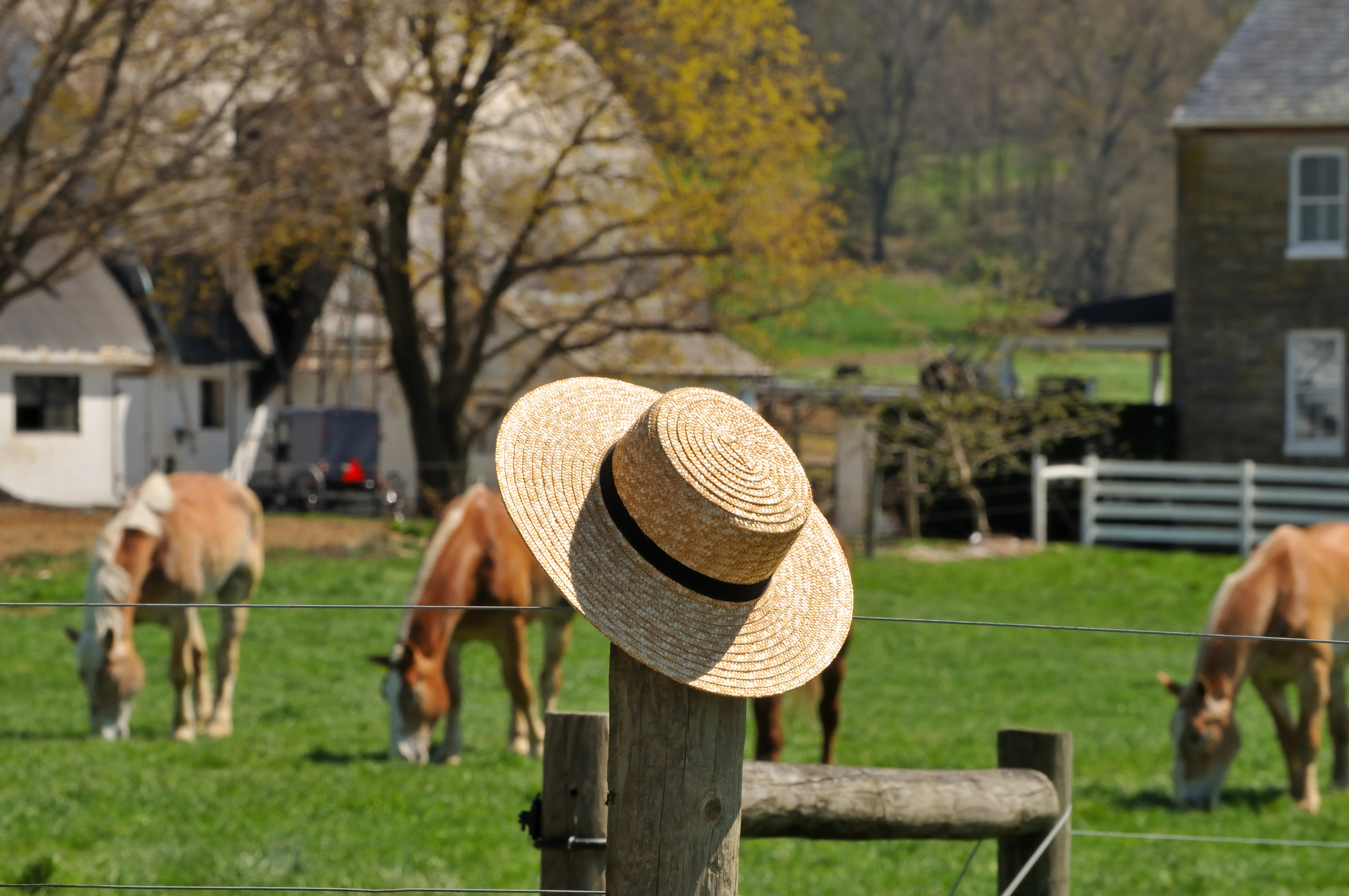 Straw Hat With Amish Farm In The Background