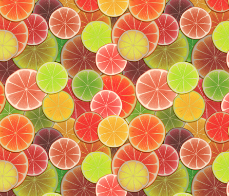 Got Citrus Fruits Wallpaper Bonnie Spoonflower