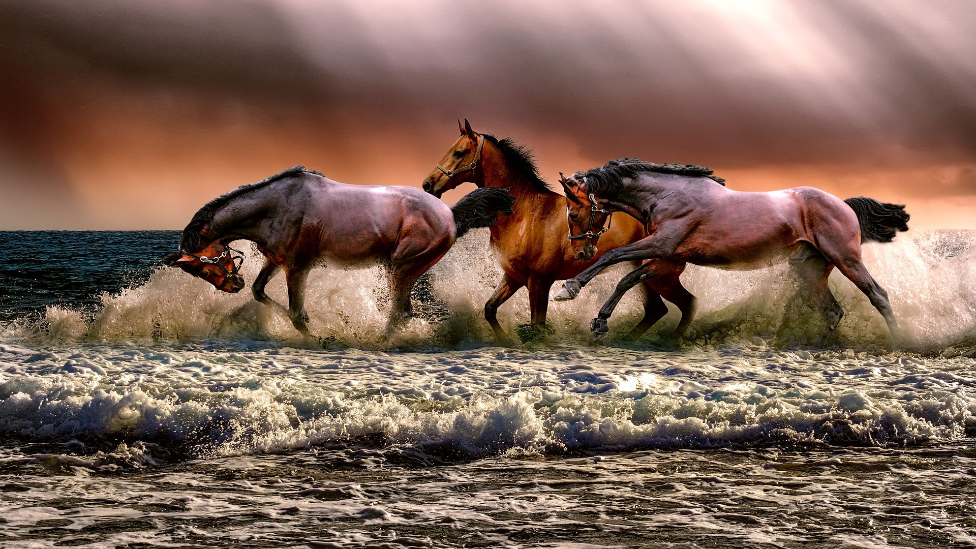 Cavalry Horses Running In Sea Shore Wallpaper