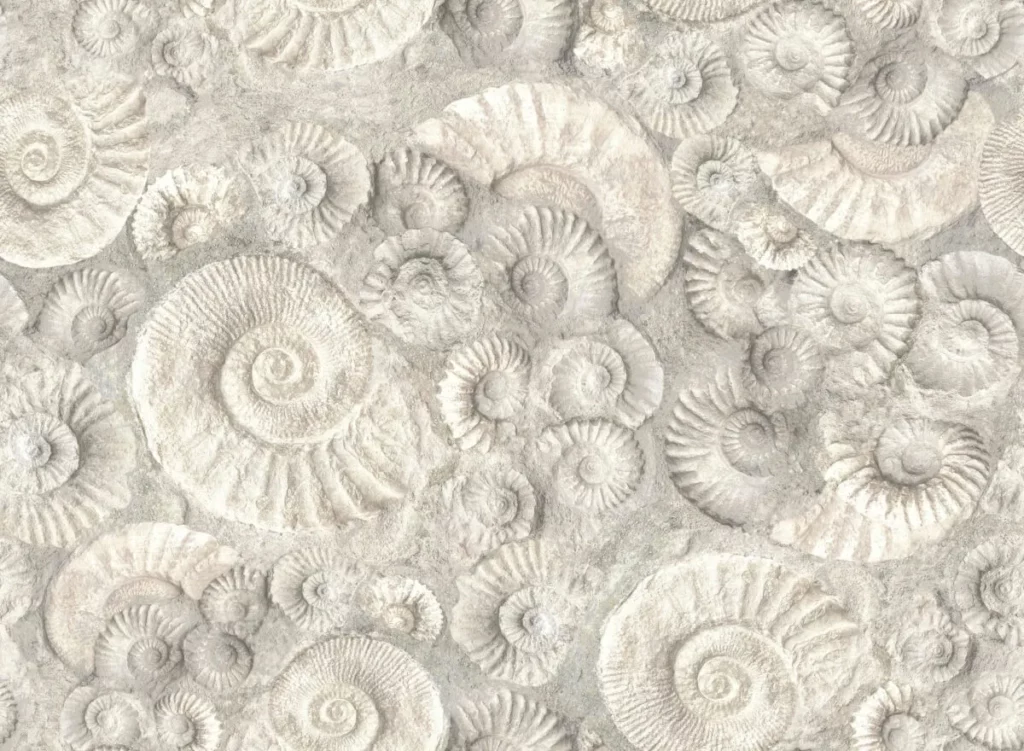 Sanctuary Ammonite Wallpaper