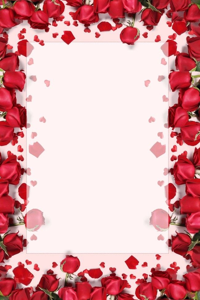 Red Rose Simple Valentines Day Background Material Valentine