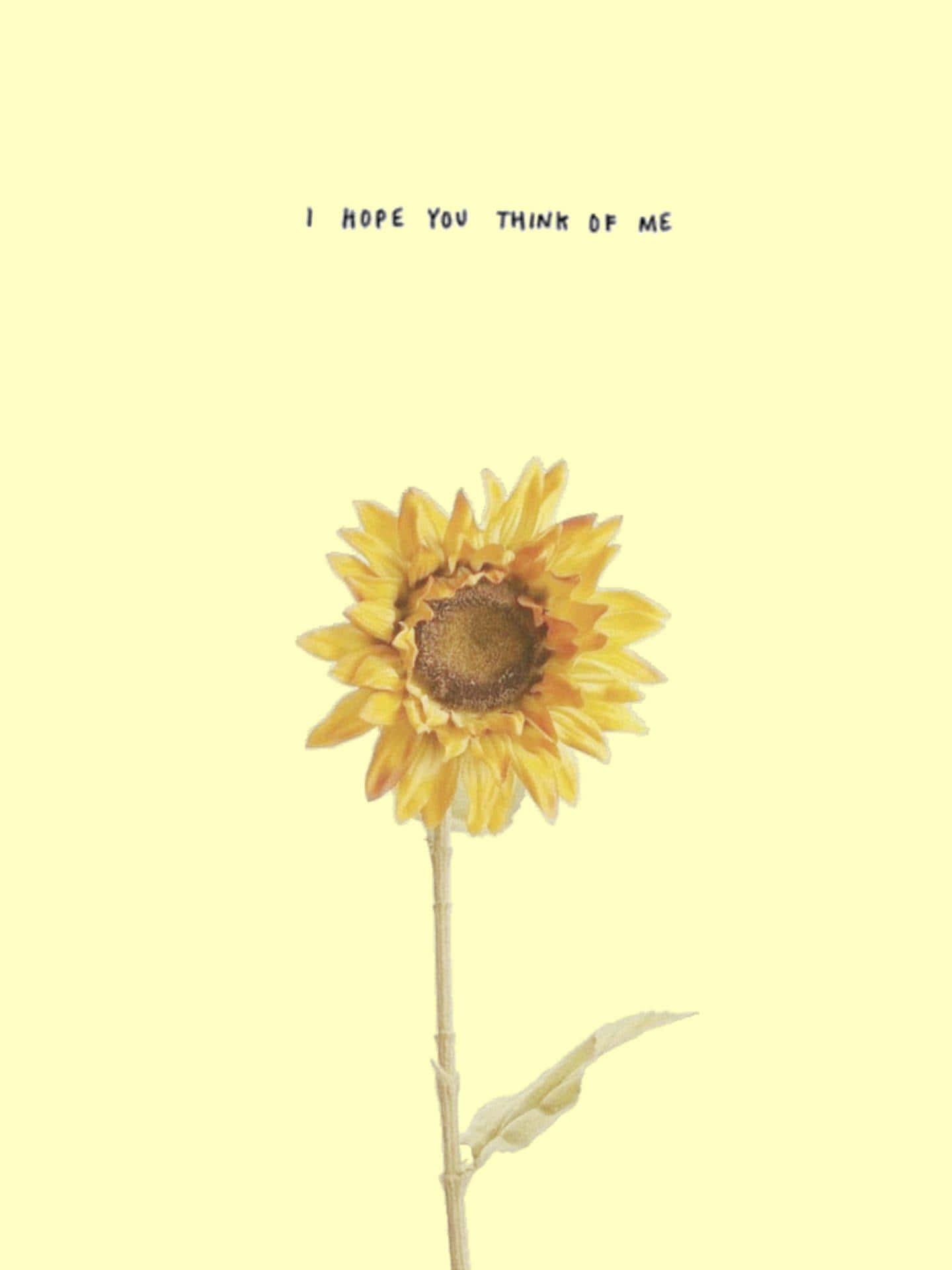 Lonely Sunflower Yellow Aesthetic Wallpaper