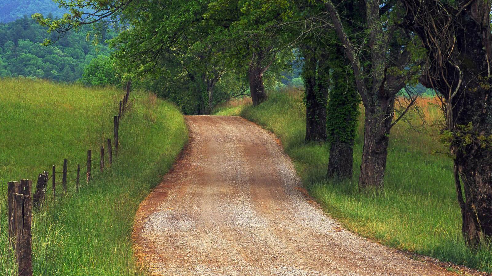 Wallpaper Country Road Through Cades Cove Tennessee X