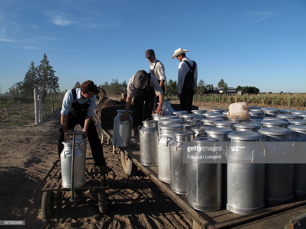 Mennonite Farmers Carry Jars Of Milk To The Cheese Factory