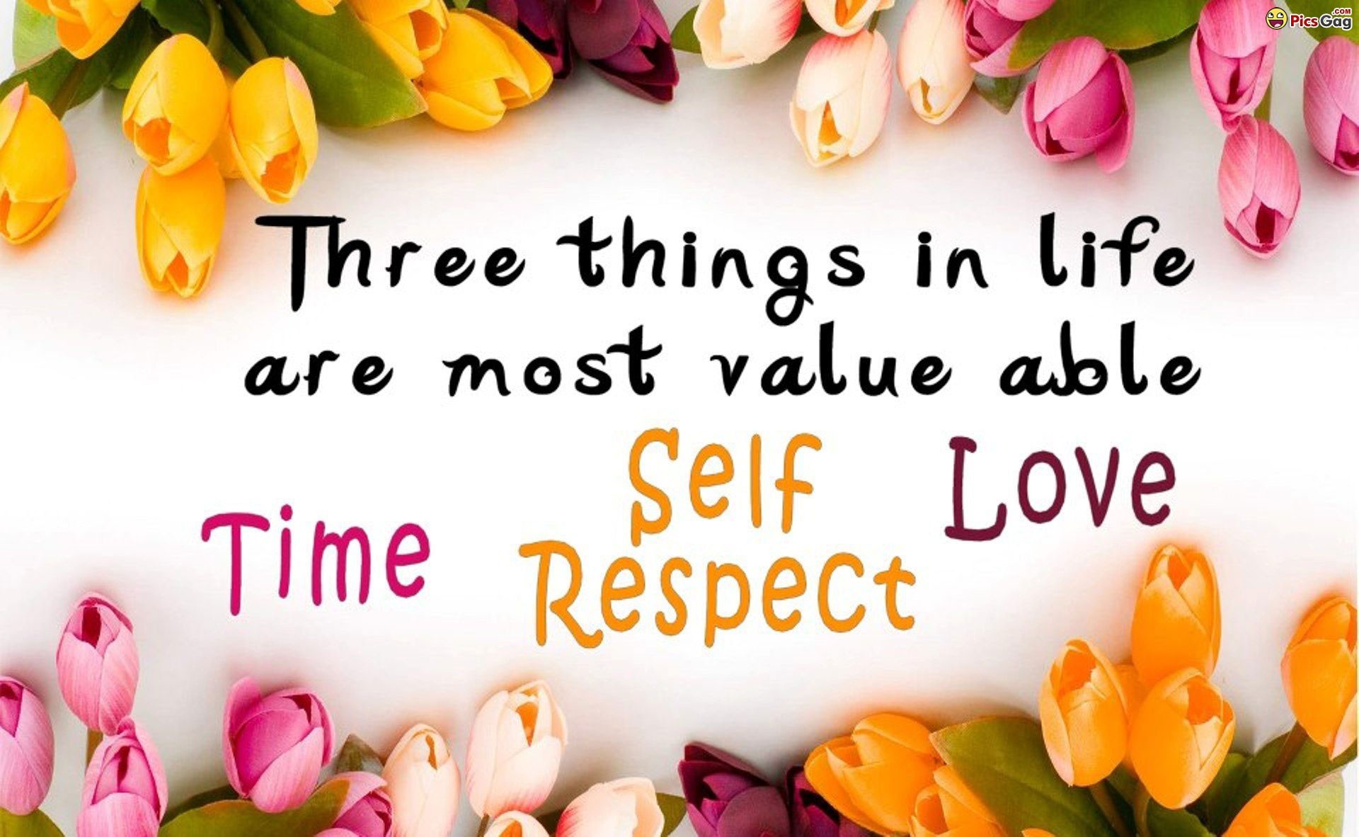 Cute Quote Wallpaper
