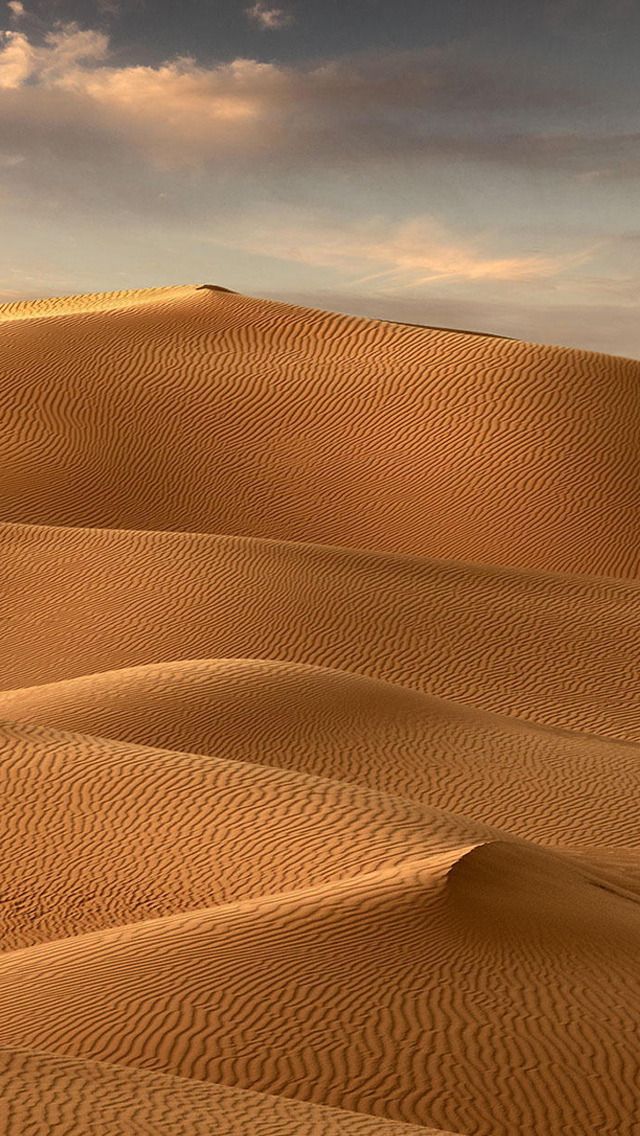 iPhone X Wallpaper