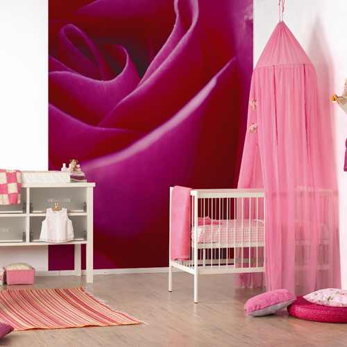 ALL WALL MURALS wallpapers and borders to buy online