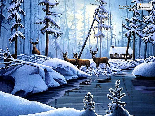 Silent Winter Run Forest Cabin Snow Deer Creek HD Wallpaper