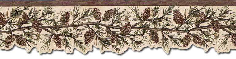 Free download Details about PINETREEPINE CONEPINECONE Wallpaper Border