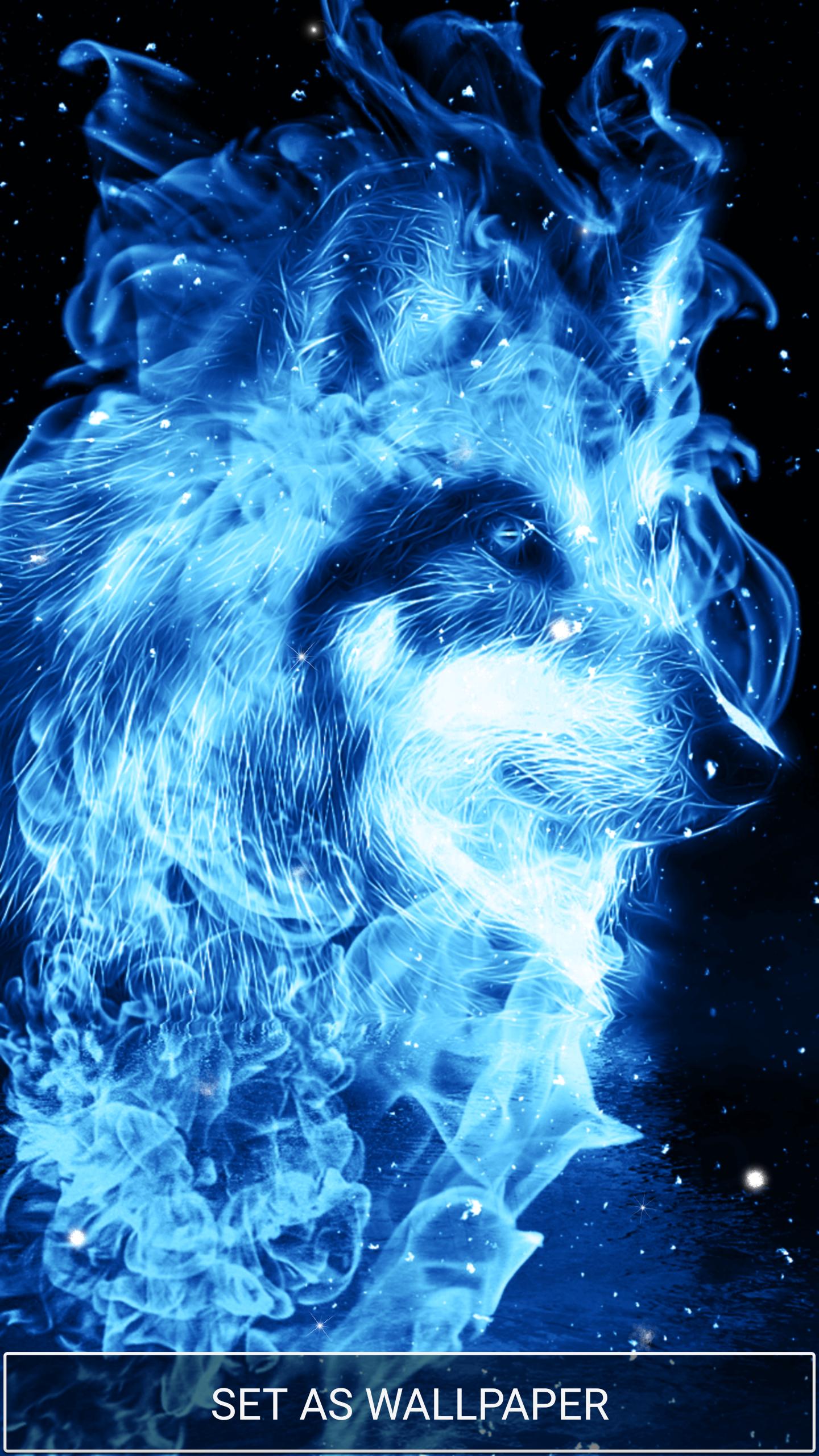 Fire And Ice Wolf Wallpaper On