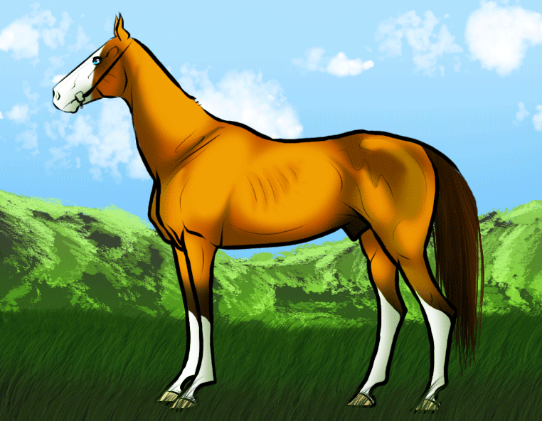 Animated Horse Wallpaper - WallpaperSafari