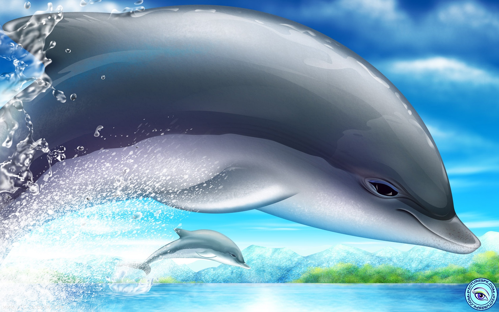 Beautiful Dolphin Picture Wallpaper In Resolution
