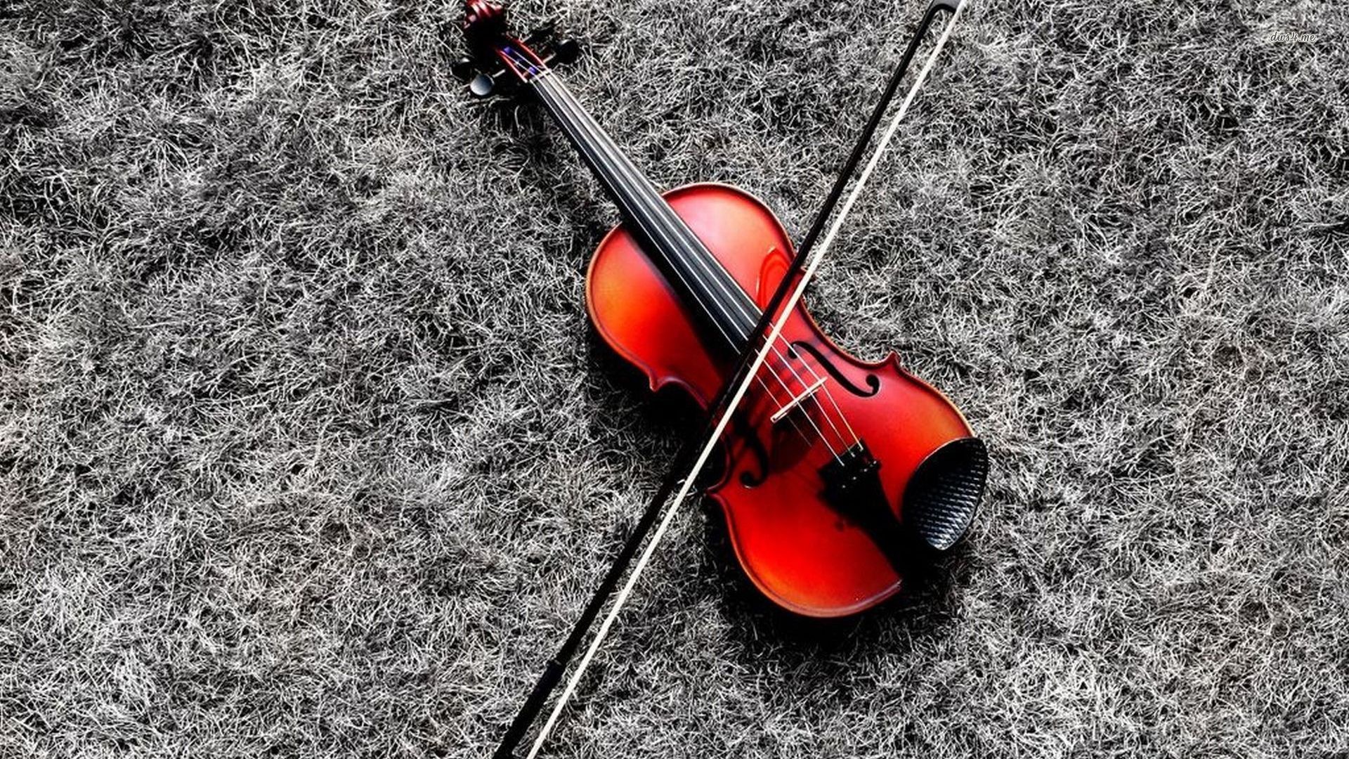 Beautiful Violin Music Widescreen High Resolution Wallpaper