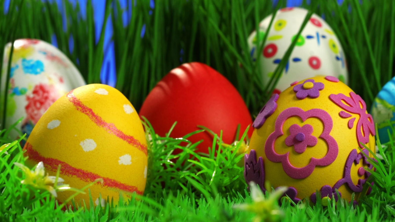 Easter Colored Eggs And Green Grass Desktop Wallpaper
