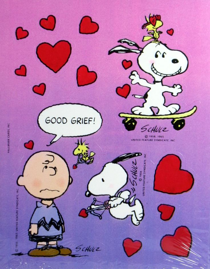 Peanuts Valentine Wallpaper Grasscloth