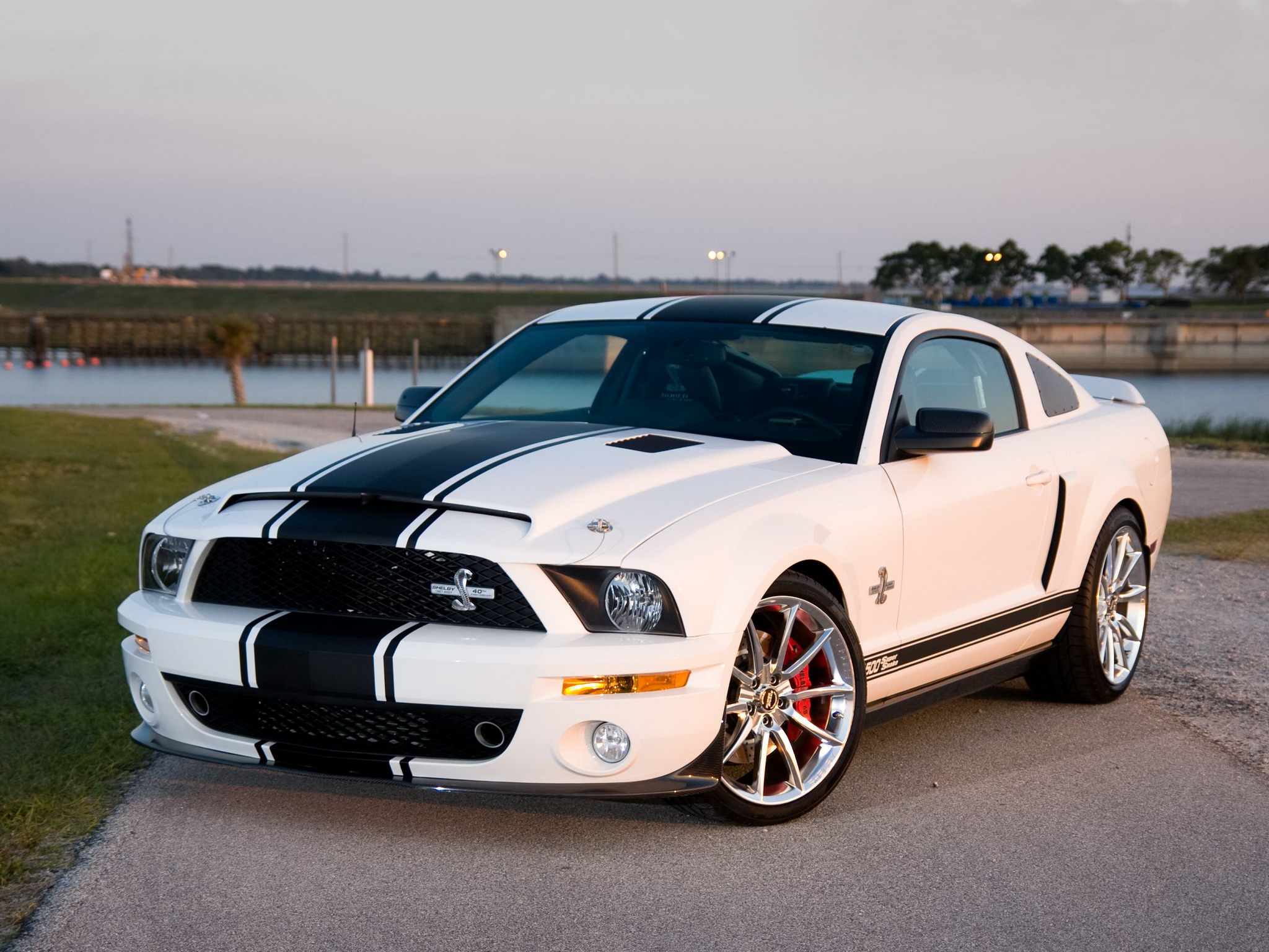 Shelby Gt500 Super Snake Muscle Ford Mustang G Wallpaper