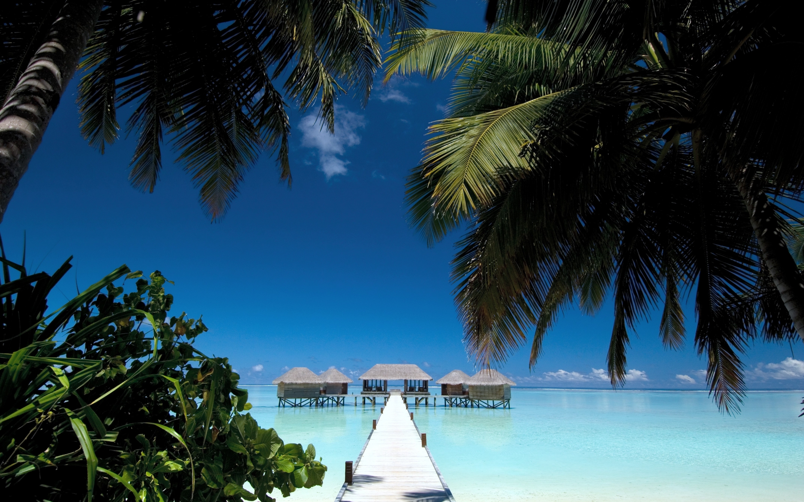 tropical paradise maldives beach house palms 4288x2848 wallpaper High
