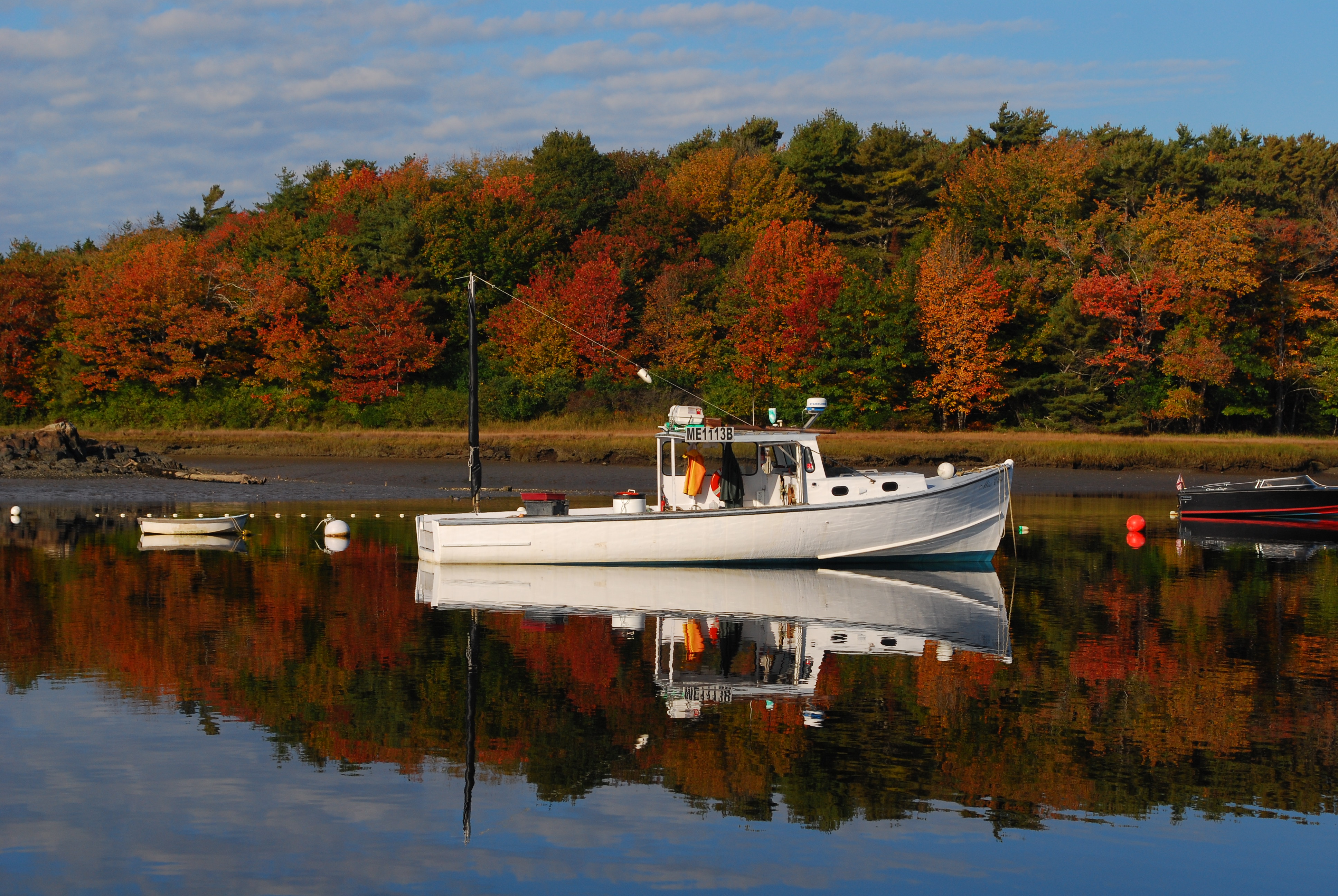 Maine Fall Foliage Wallpaper Photo gallery every few