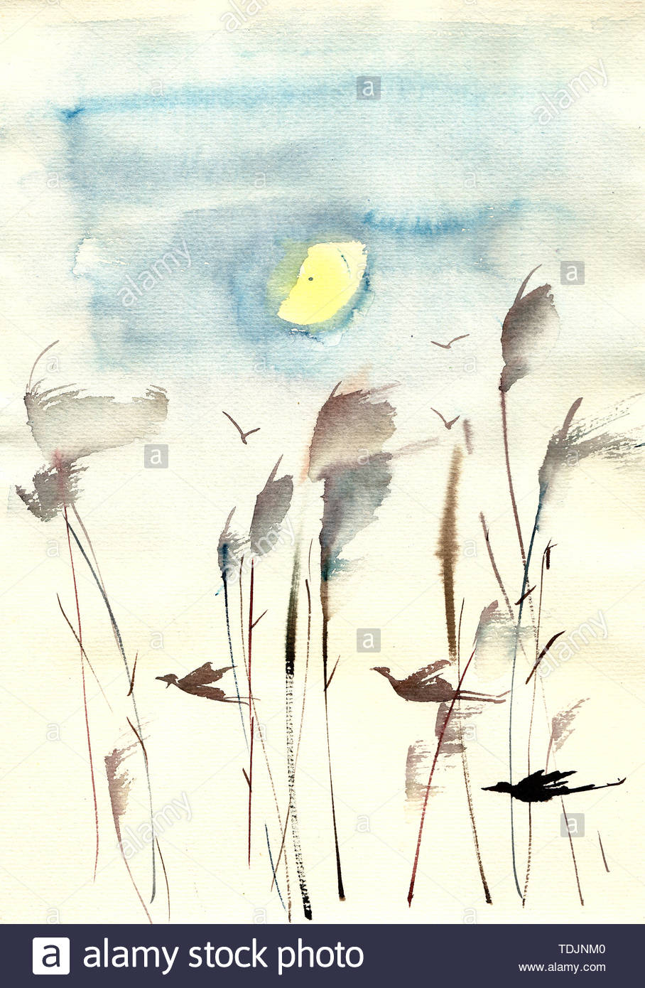 Free download Sunset lake moon night moon afterglow water edge reed