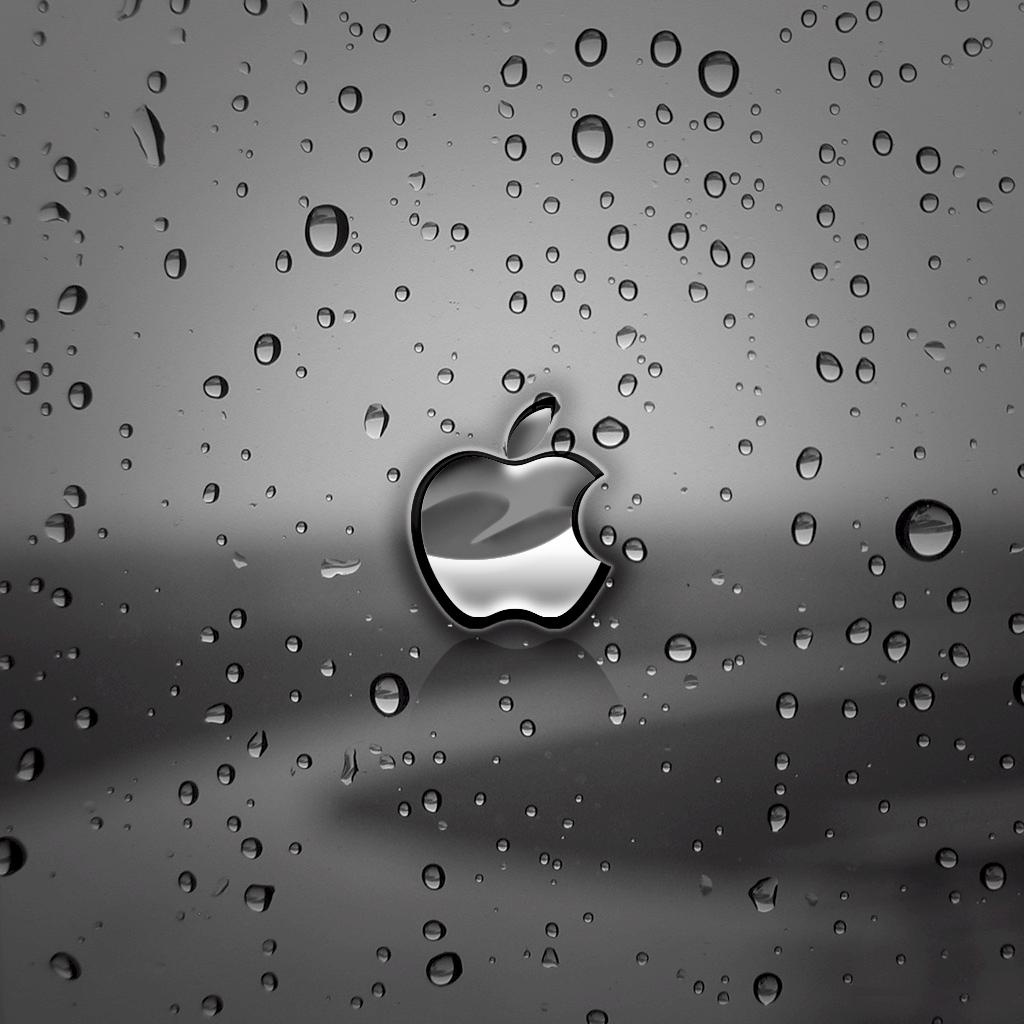 Wallpaper iPhone 4s 5s Silver Apples Rain