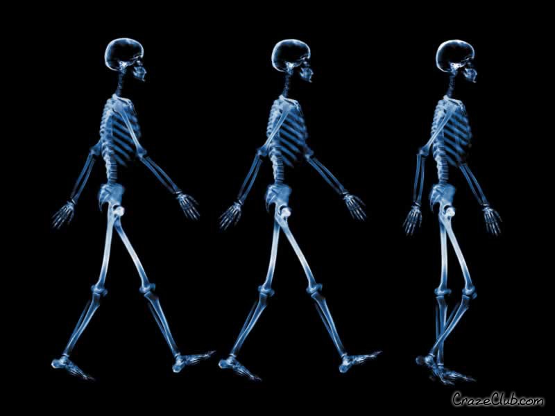 Skeleton Wallpaper 3d Walking