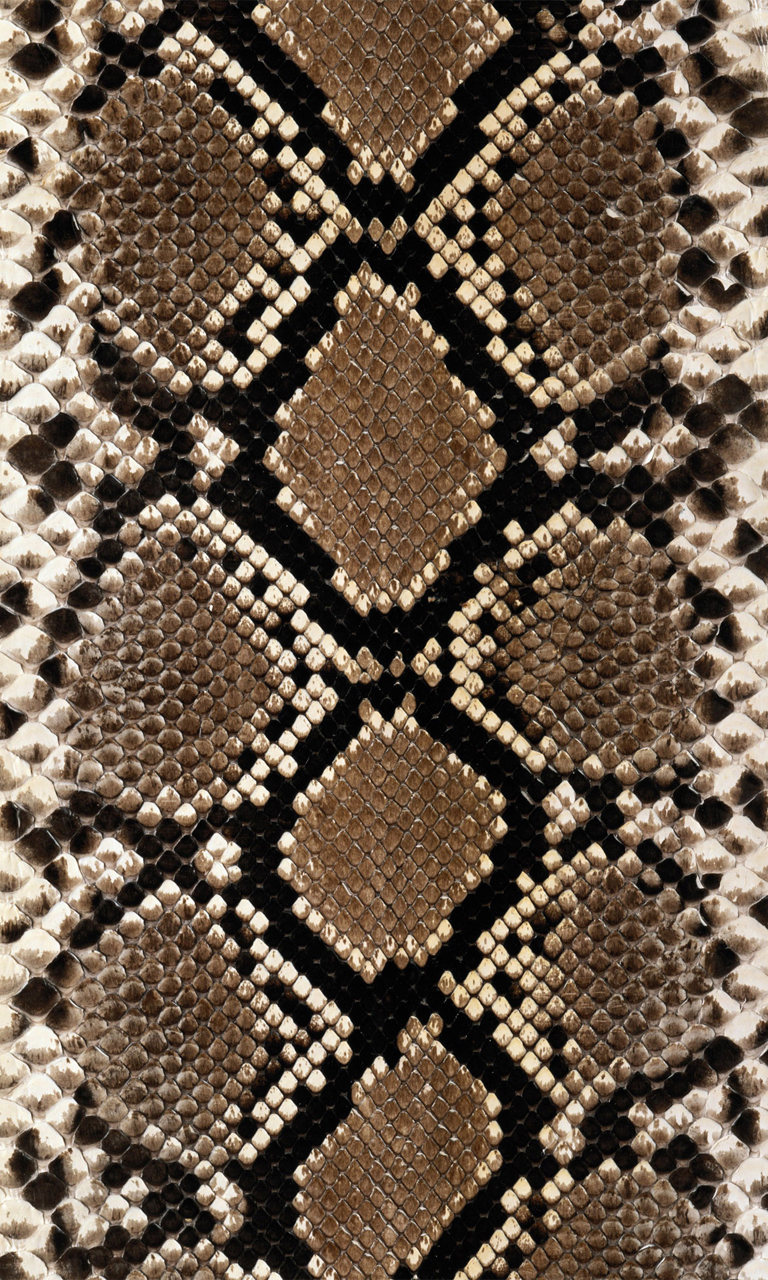 Blackberry Wallpaper For Snake Skin Personal