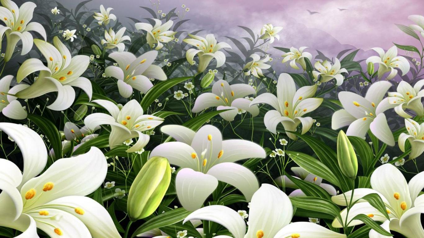 Easter Lily Wallpaper For Pc