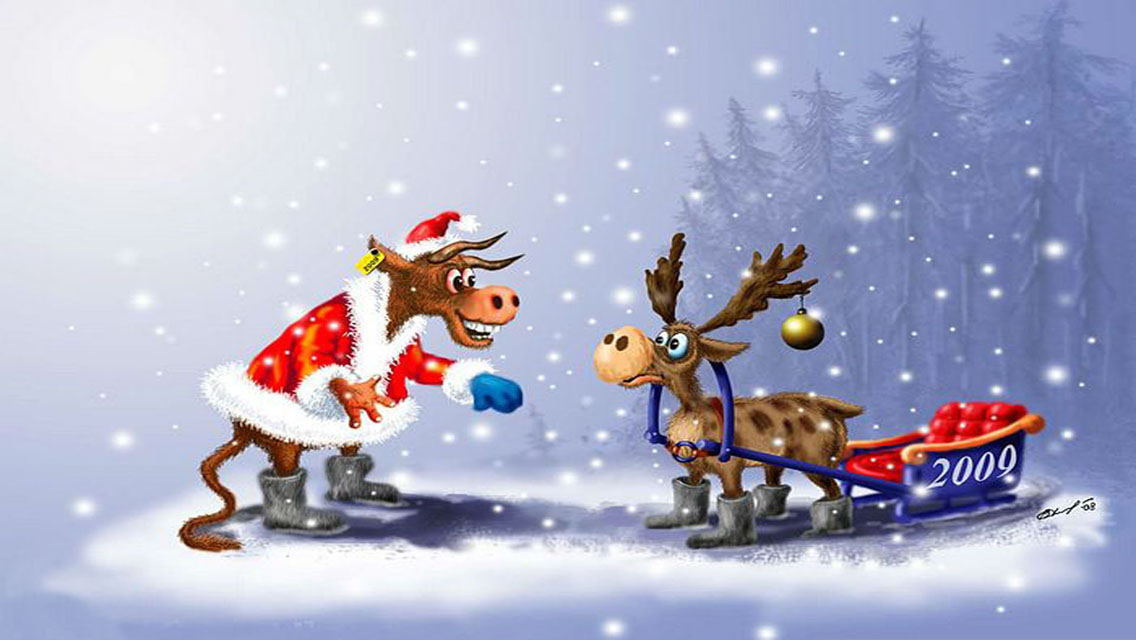 Funny Christmas HD Wallpaper For iPhone