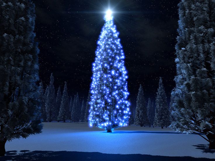Beautiful Blue Tree For The Home