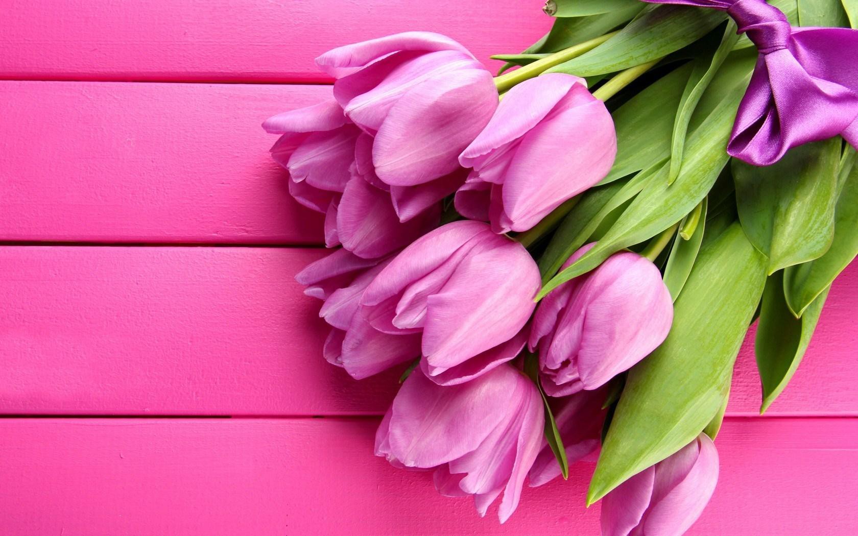Flowers Spring Lovey Pink Tulips HD Wallpaper New