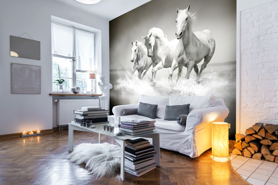 Horse Wall Murals Equestrian Photo Wallpaper