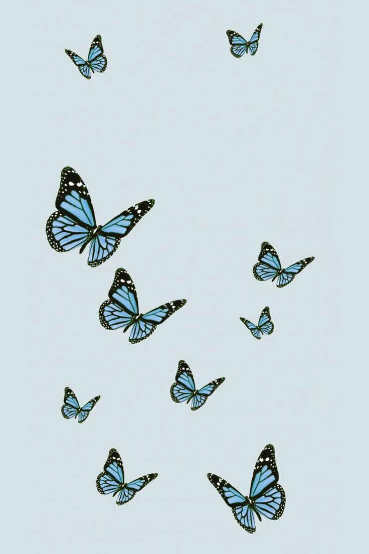 Blue Butterflies iPhone Wallpaper  iPhone Wallpapers  iPhone Wallpapers