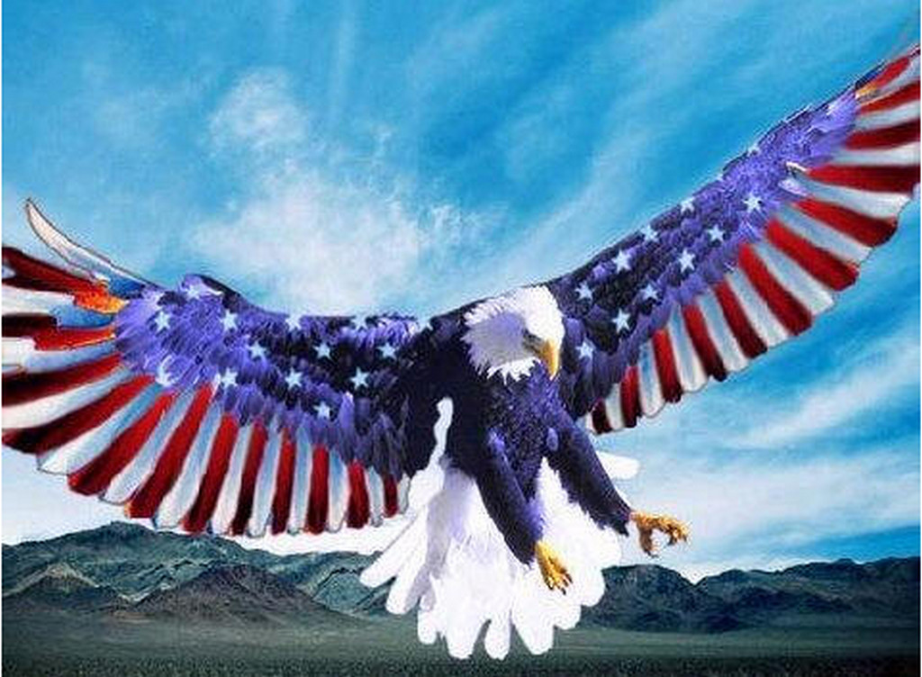 tag eagle american flag eagle flag